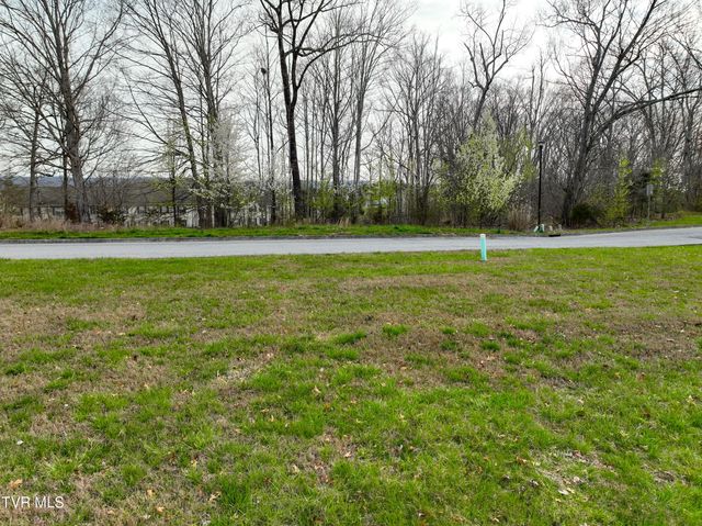 1804 Buckingham Court, Kingsport, TN 37660