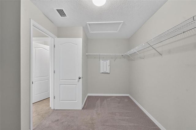 11628 LAKE LUCAYA DRIVE, Riverview, FL 33579