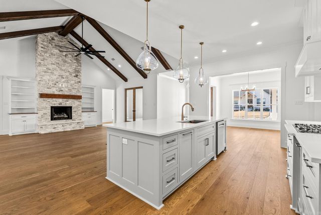 1670 DOLPHIN, Conway, AR 72034