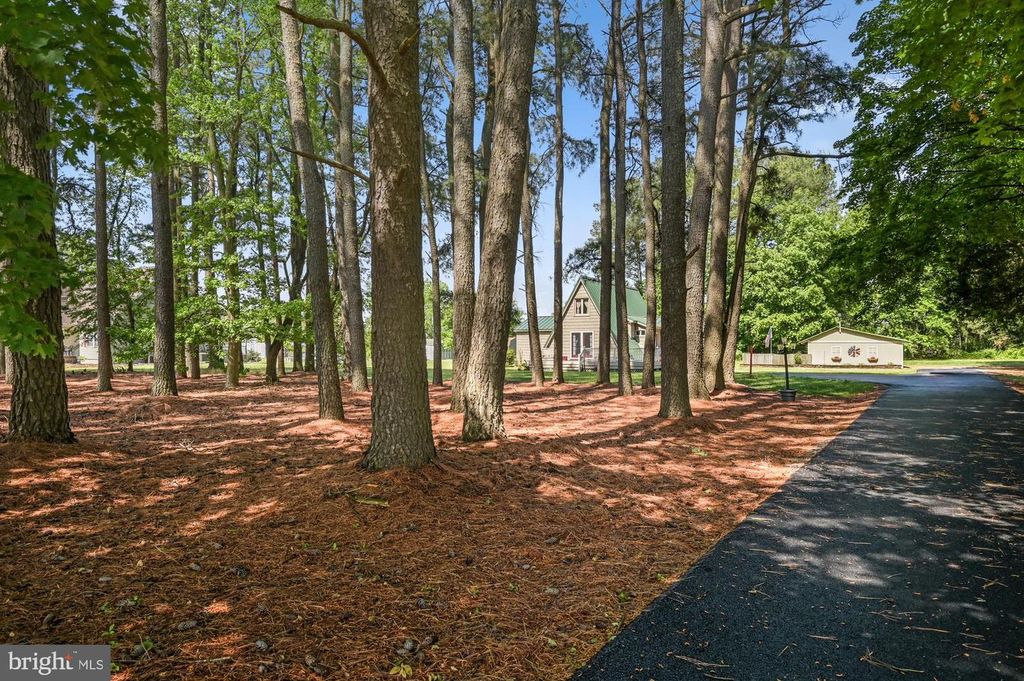 151 PEACH BASKET RD, Felton, DE 19943