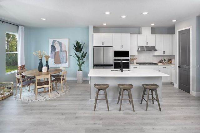 3582 CASPIAN CHERVIL STREET, Wesley Chapel, FL 33543