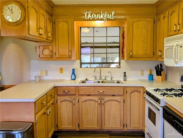2303 Green Gate Circle E, Palmview, TX 78572