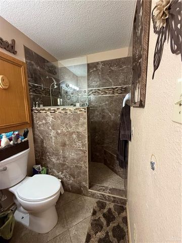 2303 Green Gate Circle E, Palmview, TX 78572