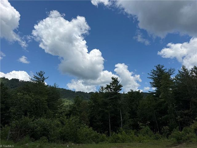 2668 Reedy Branch Road, Purlear, NC 28665