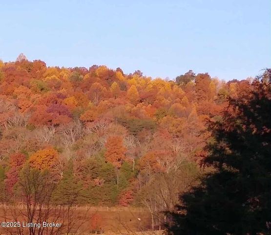 600 Harper Valley Rd, Cave City, KY 42127