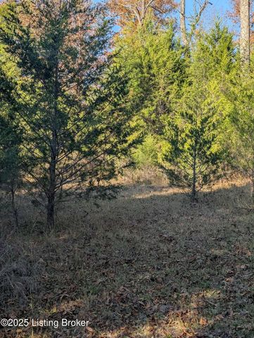 600 Harper Valley Rd, Cave City, KY 42127