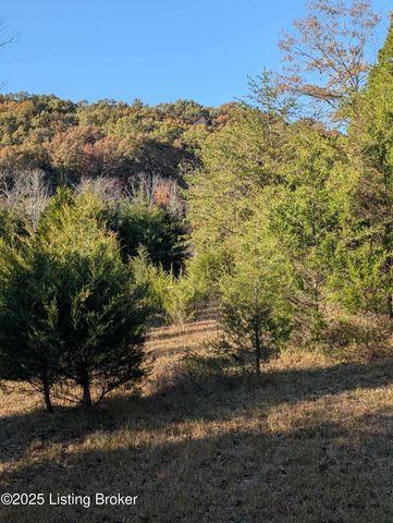 600 Harper Valley Rd, Cave City, KY 42127