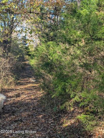 600 Harper Valley Rd, Cave City, KY 42127