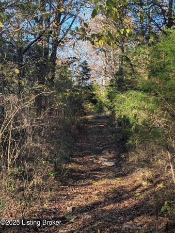 600 Harper Valley Rd, Cave City, KY 42127