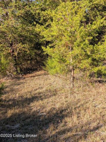 600 Harper Valley Rd, Cave City, KY 42127