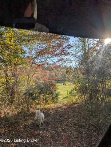 600 Harper Valley Rd, Cave City, KY 42127