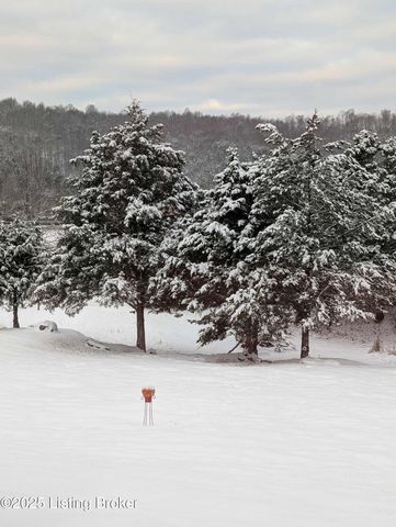 600 Harper Valley Rd, Cave City, KY 42127