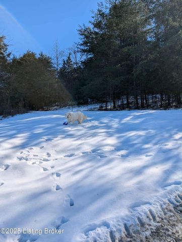 600 Harper Valley Rd, Cave City, KY 42127