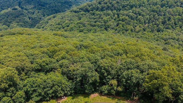 0 Meadow Brook Trail, Morganton, GA 30560