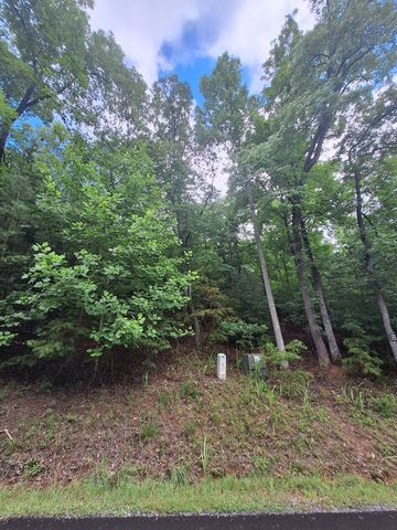 0 Meadow Brook Trail, Morganton, GA 30560