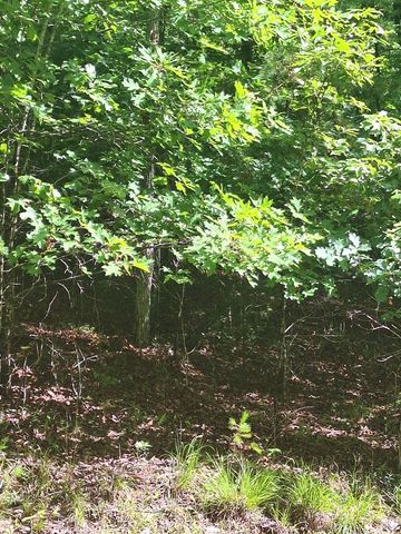 0 Meadow Brook Trail, Morganton, GA 30560