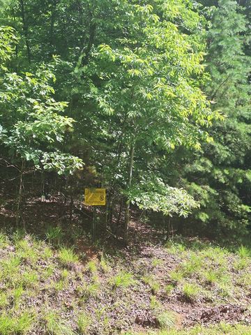 0 Meadow Brook Trail, Morganton, GA 30560