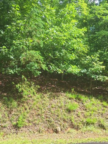 0 Meadow Brook Trail, Morganton, GA 30560