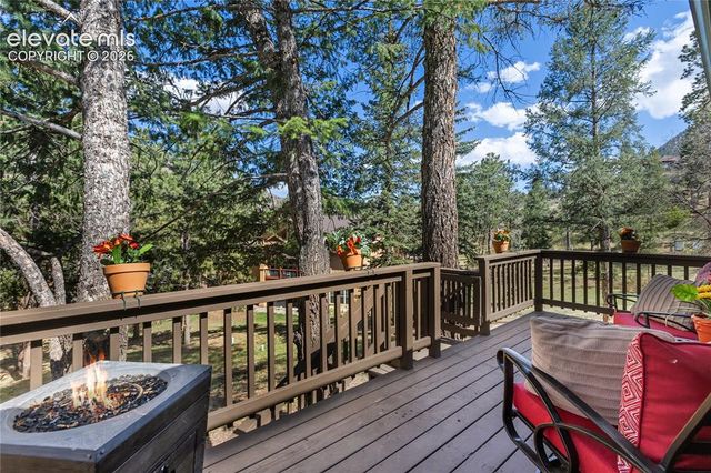 9120 Ute Road, Cascade, CO 80809