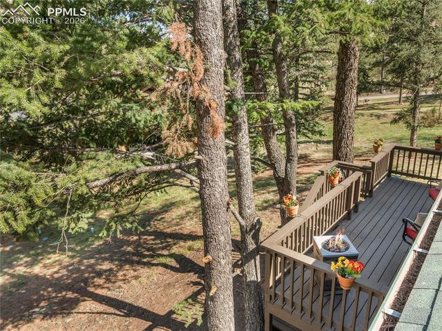 9120 Ute Road, Cascade, CO 80809