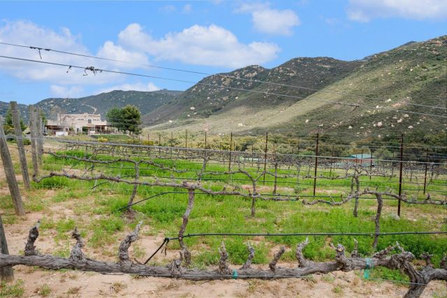 17287 Oak Hollow Road, Ramona, CA 92065