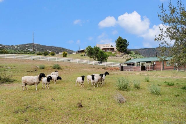 17287 Oak Hollow Road, Ramona, CA 92065