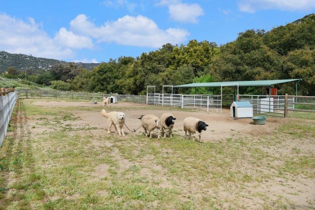 17287 Oak Hollow Road, Ramona, CA 92065