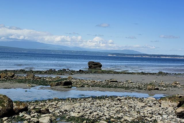 663 Windmill Drive, Freeland, WA 98249
