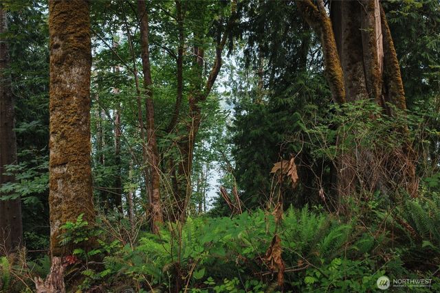 7095 Wilson Creek Road SE, Port Orchard, WA 98367