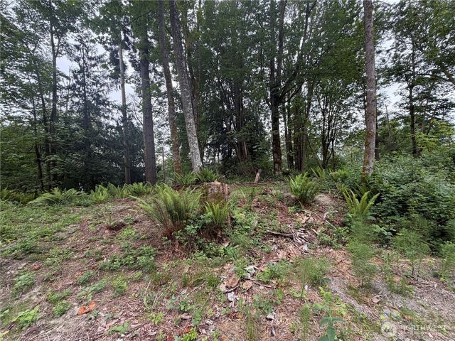 7095 Wilson Creek Road SE, Port Orchard, WA 98367