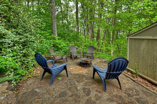 205 Lookout Drive, Blue Ridge, GA 30513