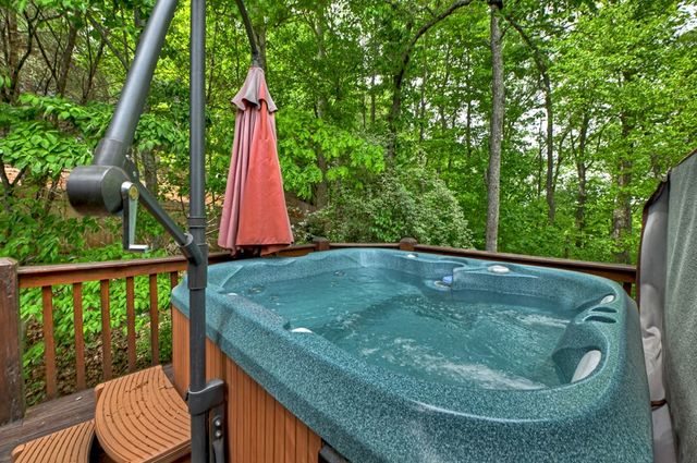 205 Lookout Drive, Blue Ridge, GA 30513