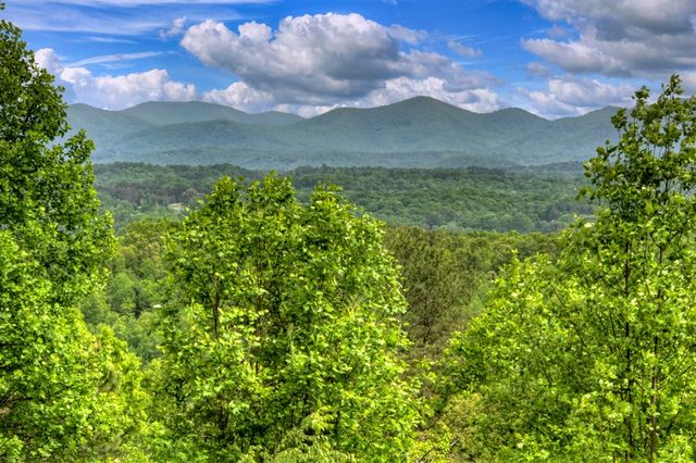 205 Lookout Drive, Blue Ridge, GA 30513