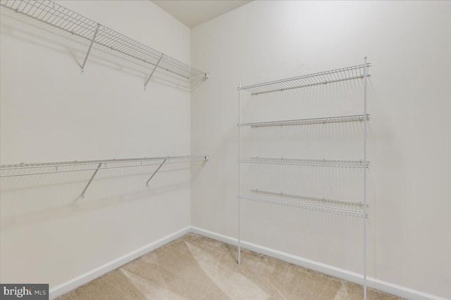 25294 GRAY POPLAR TER, Aldie, VA 20105