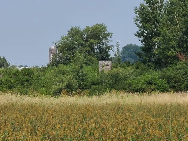 4923 Meek Road, Arlington, WI 53911