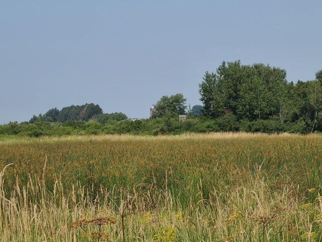 4923 Meek Road, Arlington, WI 53911