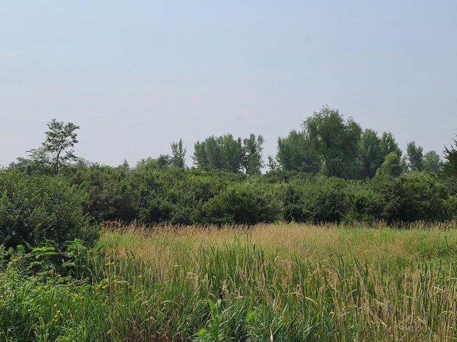 4923 Meek Road, Arlington, WI 53911