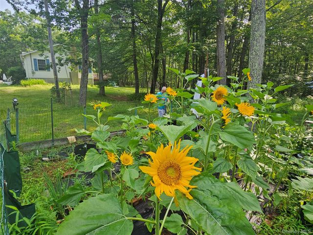 114 Kalin Weber Road, Glen Spey, NY 12737