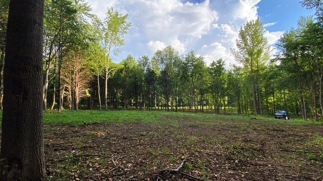 7874 Bill Moss Rd, White House, TN 37188