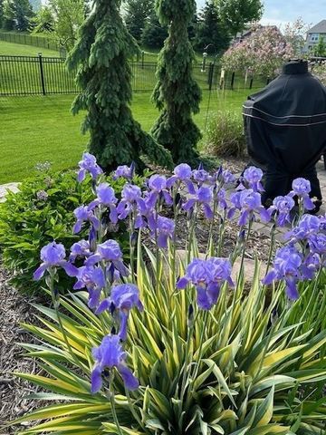 18994 Huxley Avenue, Lakeville, MN 55044