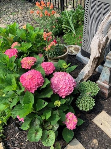 2123 17th Street, Cuyahoga Falls, OH 44223