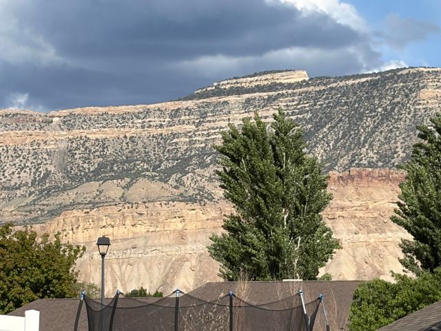 812 Elberta Avenue, Palisade, CO 81526
