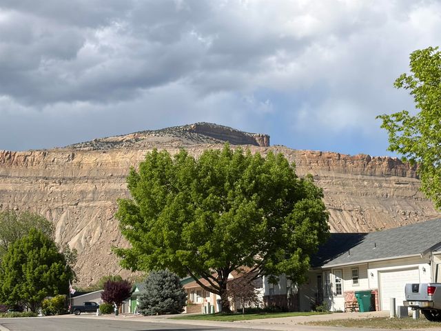 812 Elberta Avenue, Palisade, CO 81526