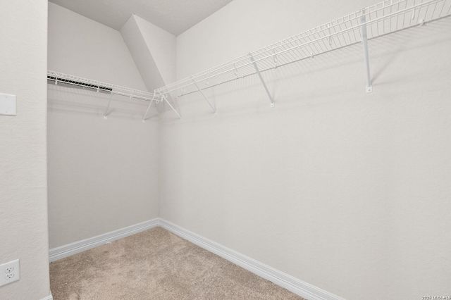 854 Lambshead Draw, San Antonio, TX 78245