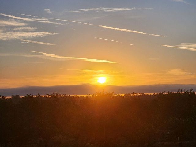 1725 POINT GRACE ROAD, Tavares, FL 32778