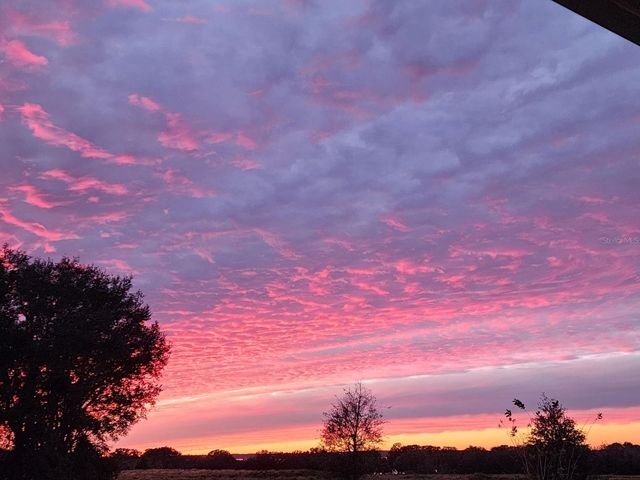 1725 POINT GRACE ROAD, Tavares, FL 32778