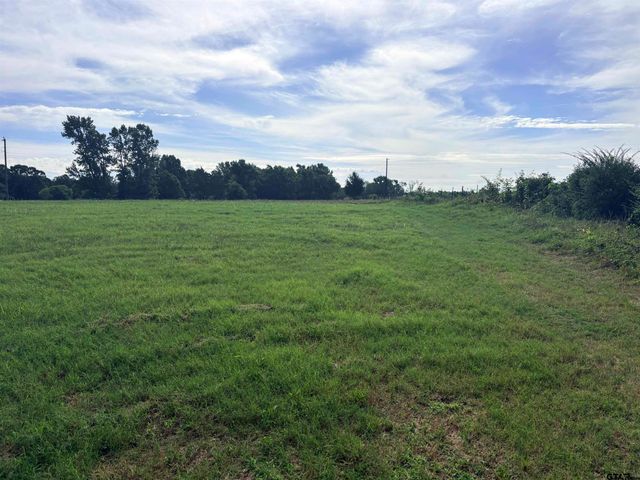 tbd 11.17 acres FM 856, Troup, TX 75789