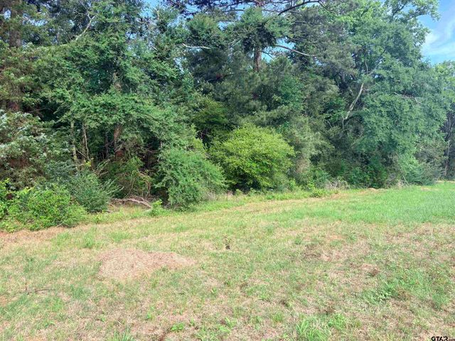tbd 11.17 acres FM 856, Troup, TX 75789