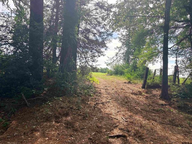 tbd 11.17 acres FM 856, Troup, TX 75789