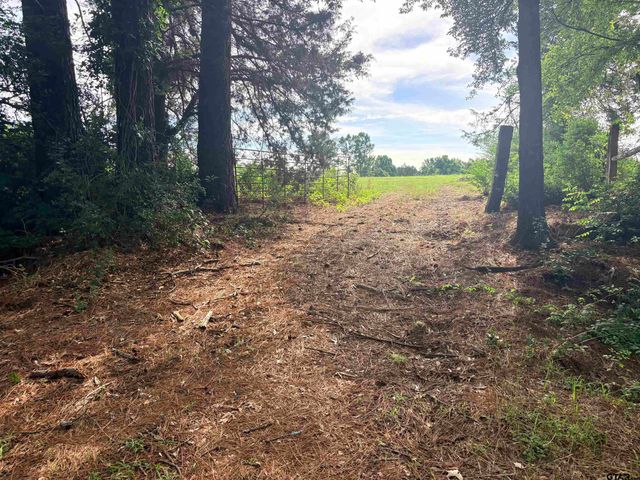 tbd 11.17 acres FM 856, Troup, TX 75789